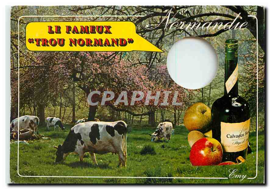 CPM Le Trou Normand Vache Calvados