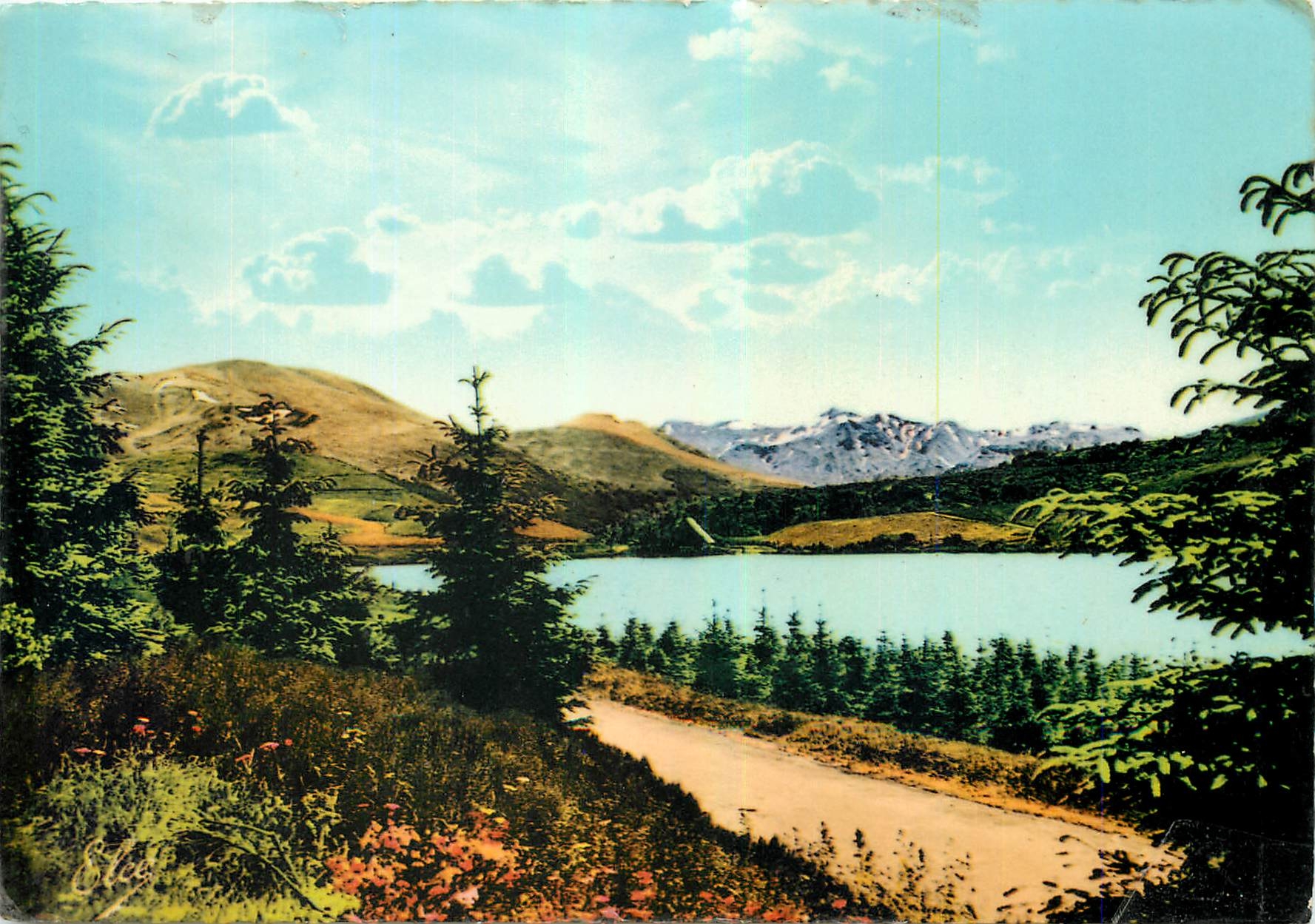 CPM Auvergne pittoresque et touristique Le Lac Guery au fond le Massif du Sancy 