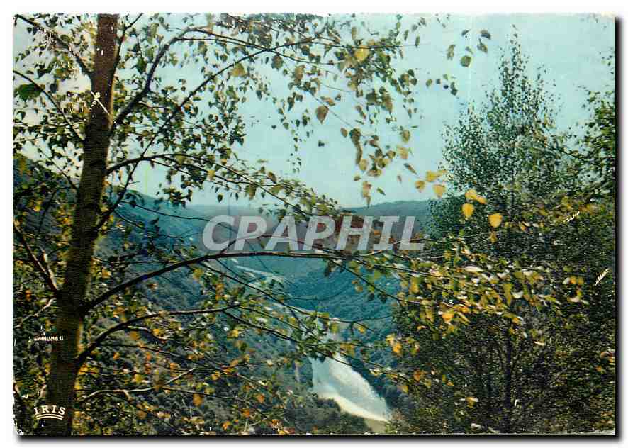 CPM Correze Pittoresque Les Gorges de la Dordogne 