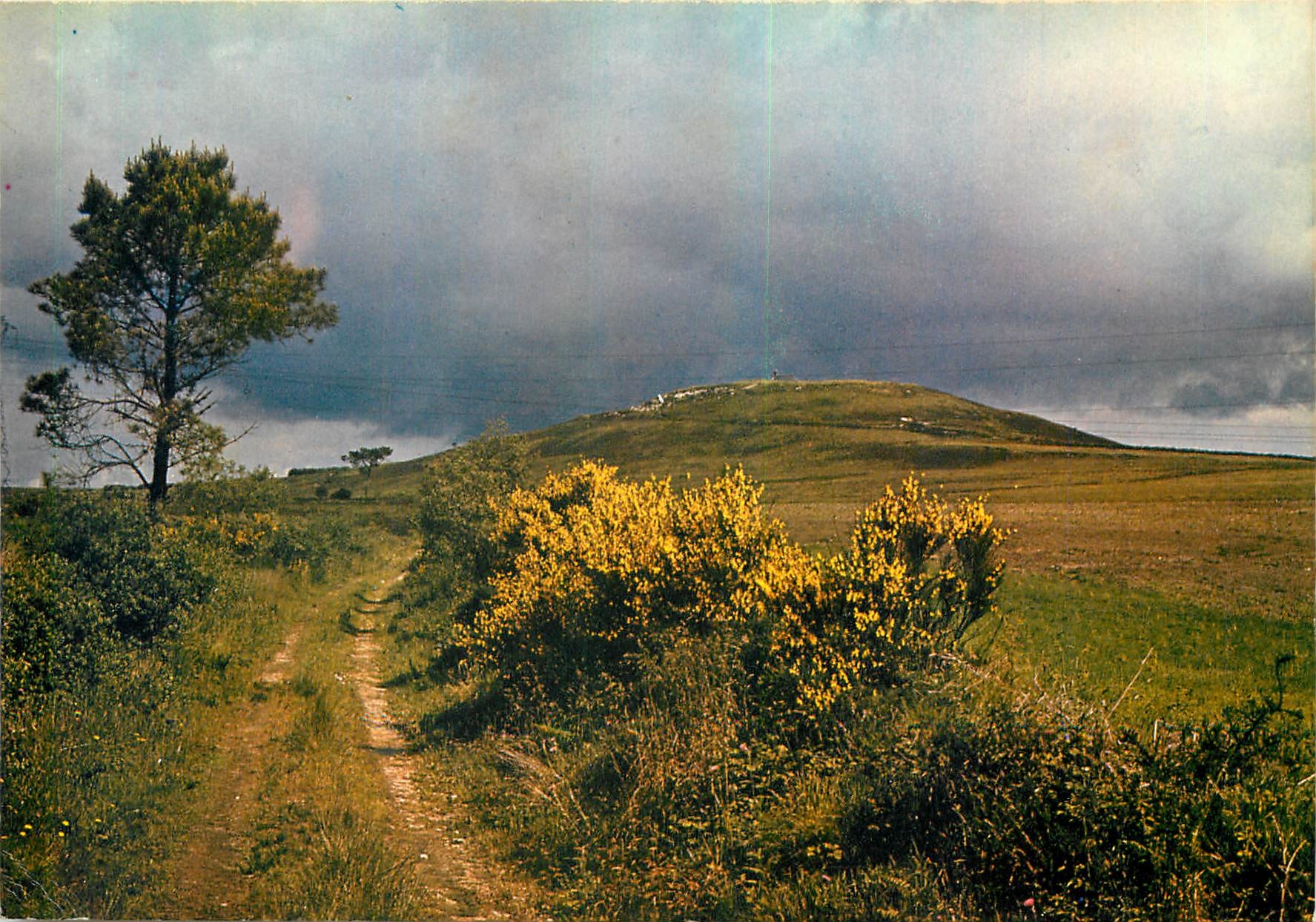CPM Les Monts d'Arree Printemps sur le Mont Saint Michel de Brasparts 