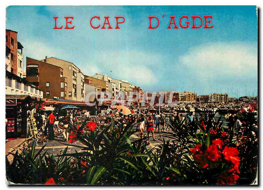CPM Littoral languedocien Le Cap d'Agde Le Port 