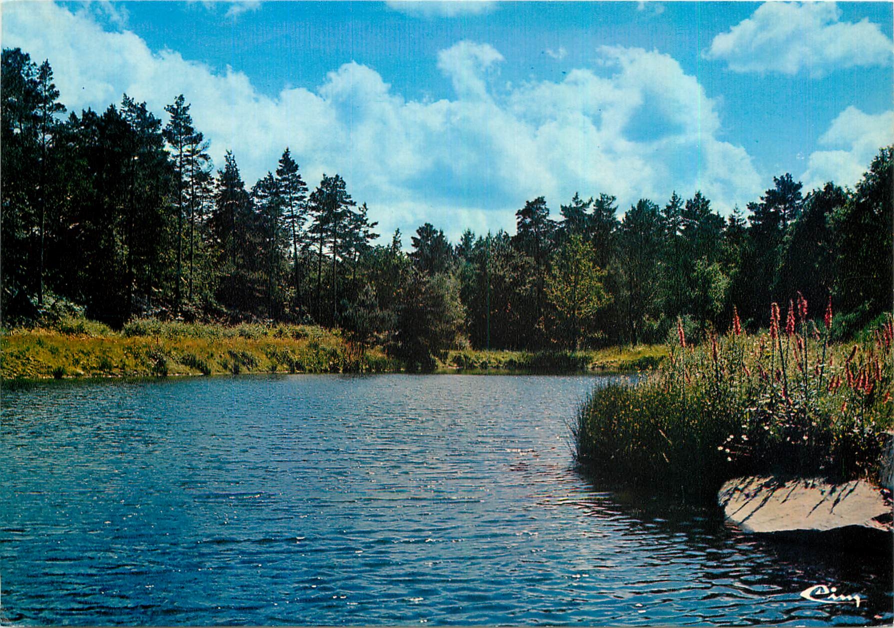 CPM Paimpont I et V Fontaine de la Fee Viviane Etang de la Marette 