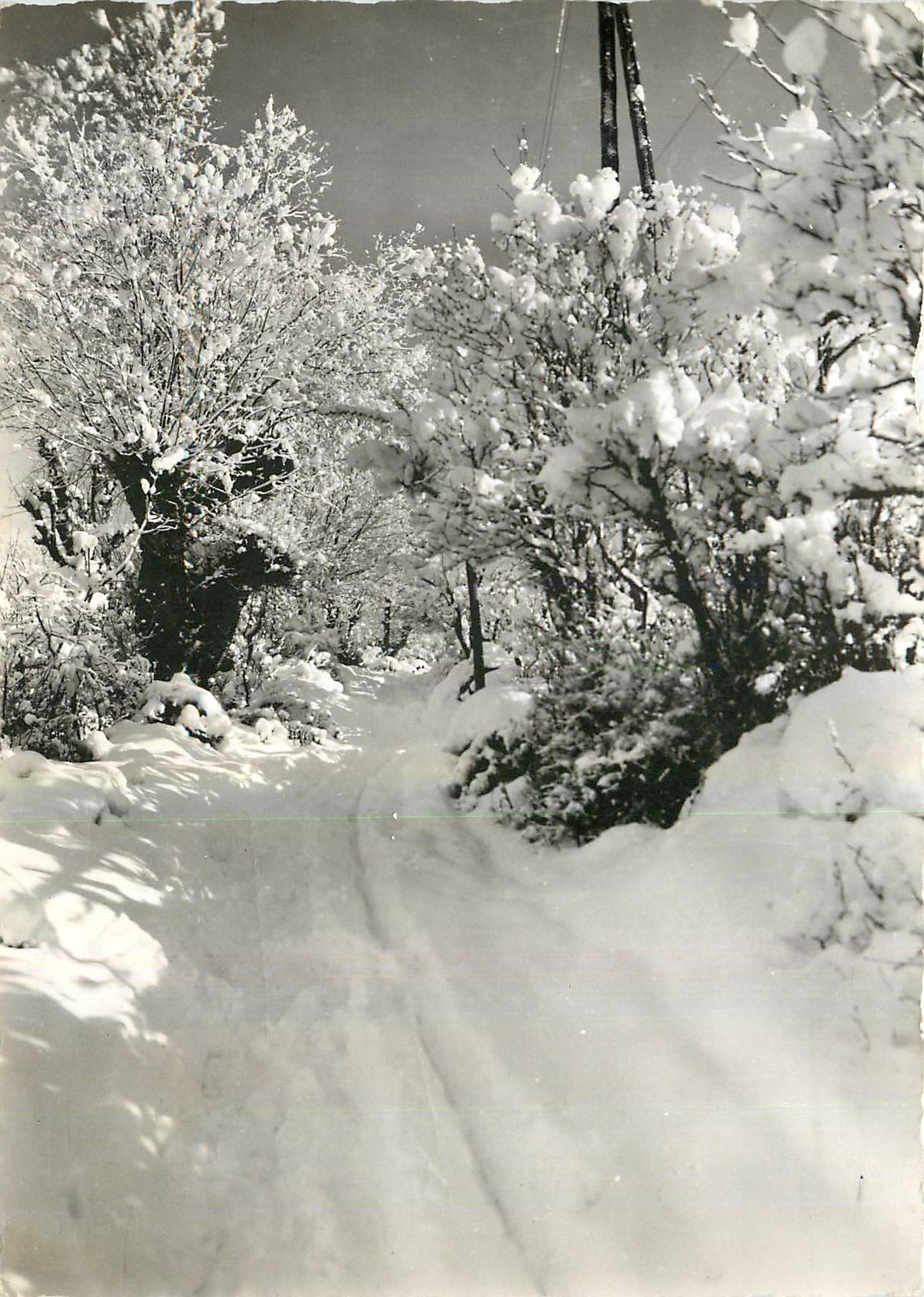 CPM Sous la Neige Allos Basses Alpes Route du Lac en Hiver 