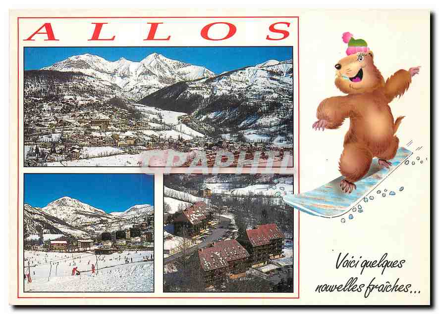 CPM Alpes de Haute Provence Val d'Allos Allos Ours Surf