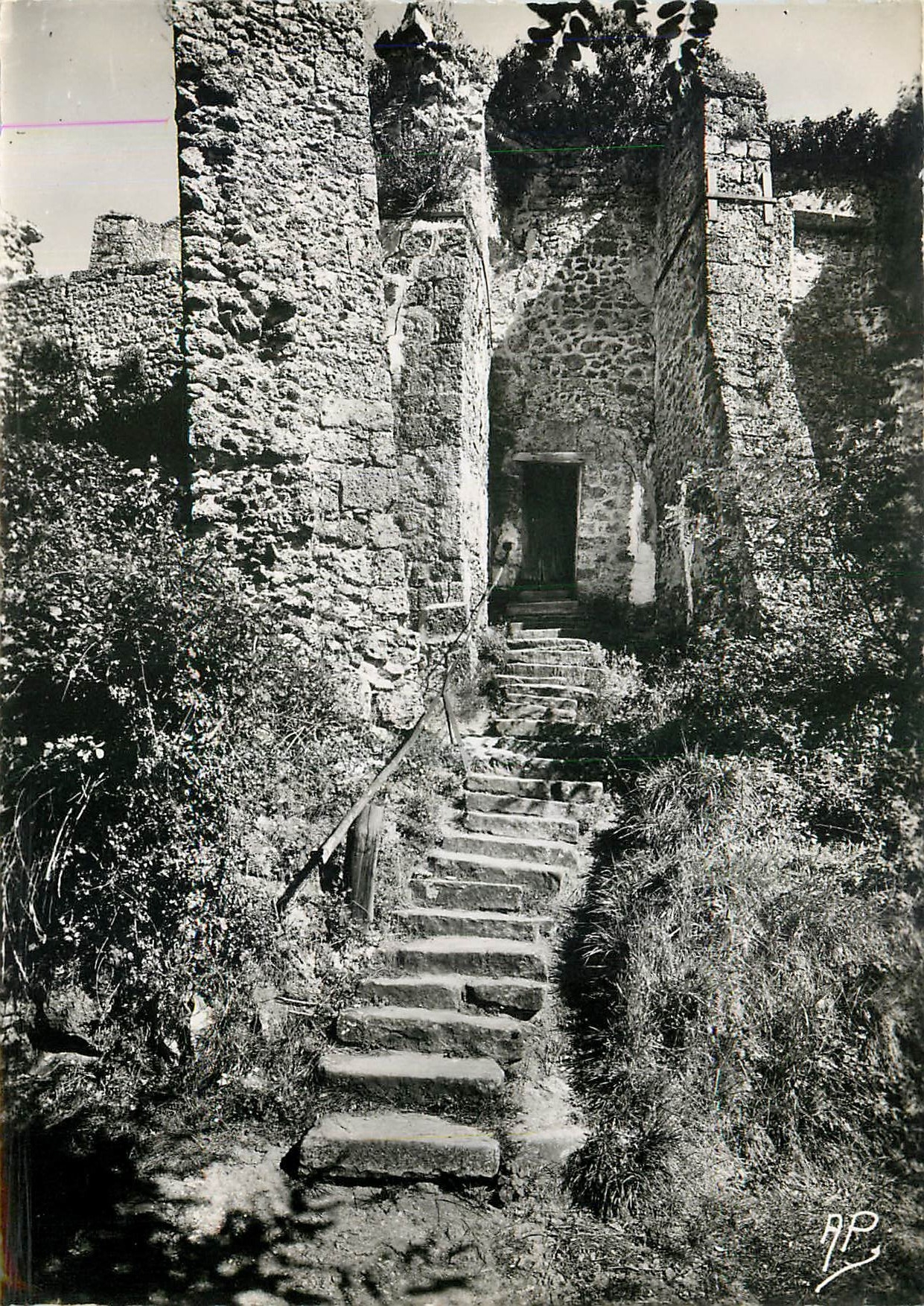 CPM Chevreuse la Madeleine Escalier du Chemin des Remparts 