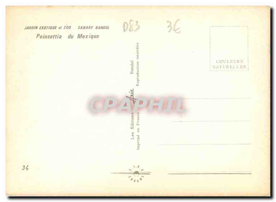 CPM Jardin Exotique Sanary Bandol Poinsettia du Mexique  — Rückseite