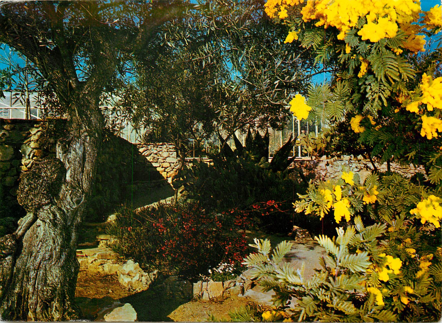 CPM Lumiere et Beaute de la Cote d'Azur Jardin Exotique Sanary Bandol Rocailles Fleuries 