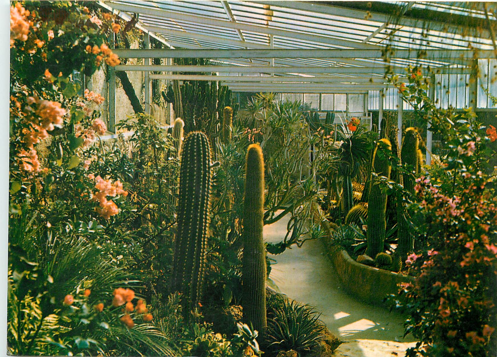 CPM Jardin Exotique & Zoo Sanary Bandol Une partie de la serre tropicale 
