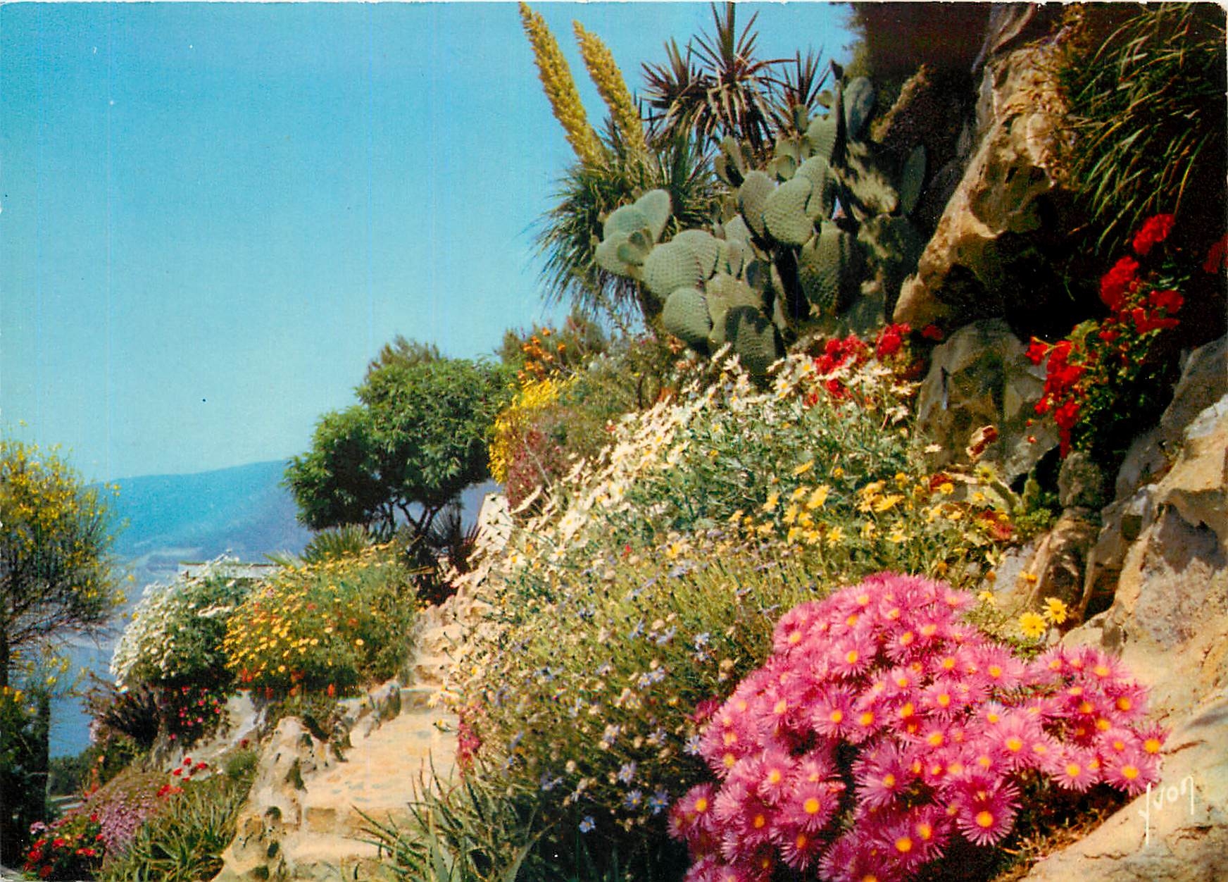 CPM Couleurs et Lumiere de France La Cote d'Azur miracle de la nature Jardin fleuri de la Cote d'Azu