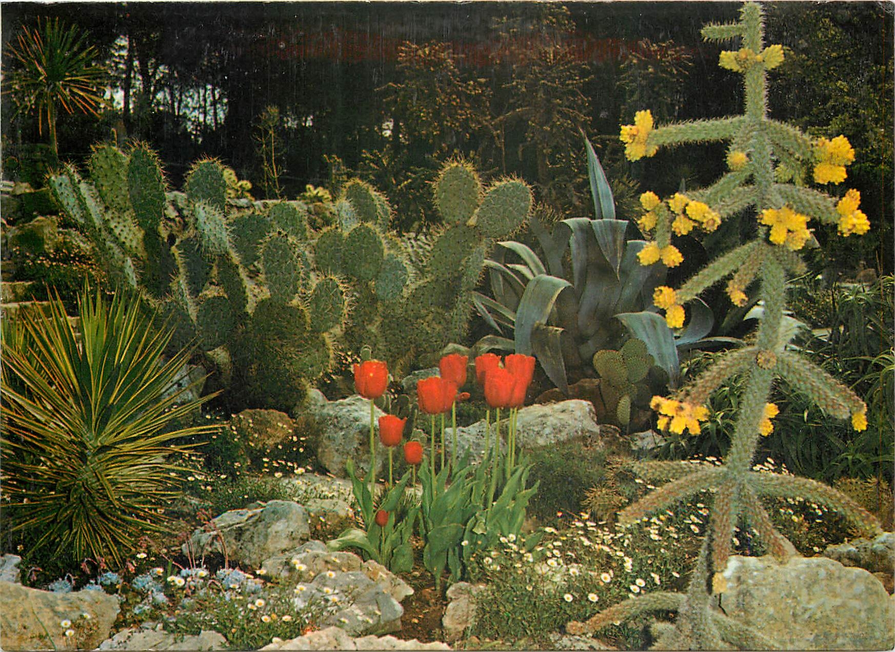 CPM Jardin Exotique & Zoo Sanary Bandol Cactees Mexicaines 