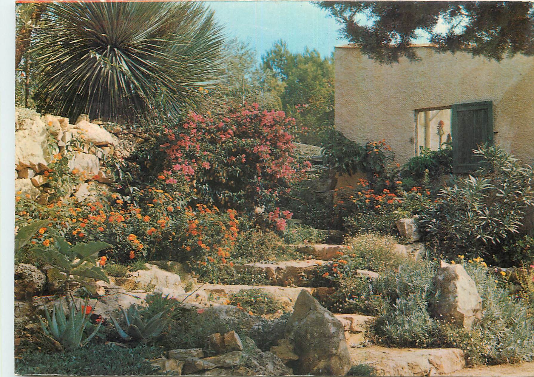CPM Jardin Exotique & Zoo Sanary Bandol L'Escalier fleuri 