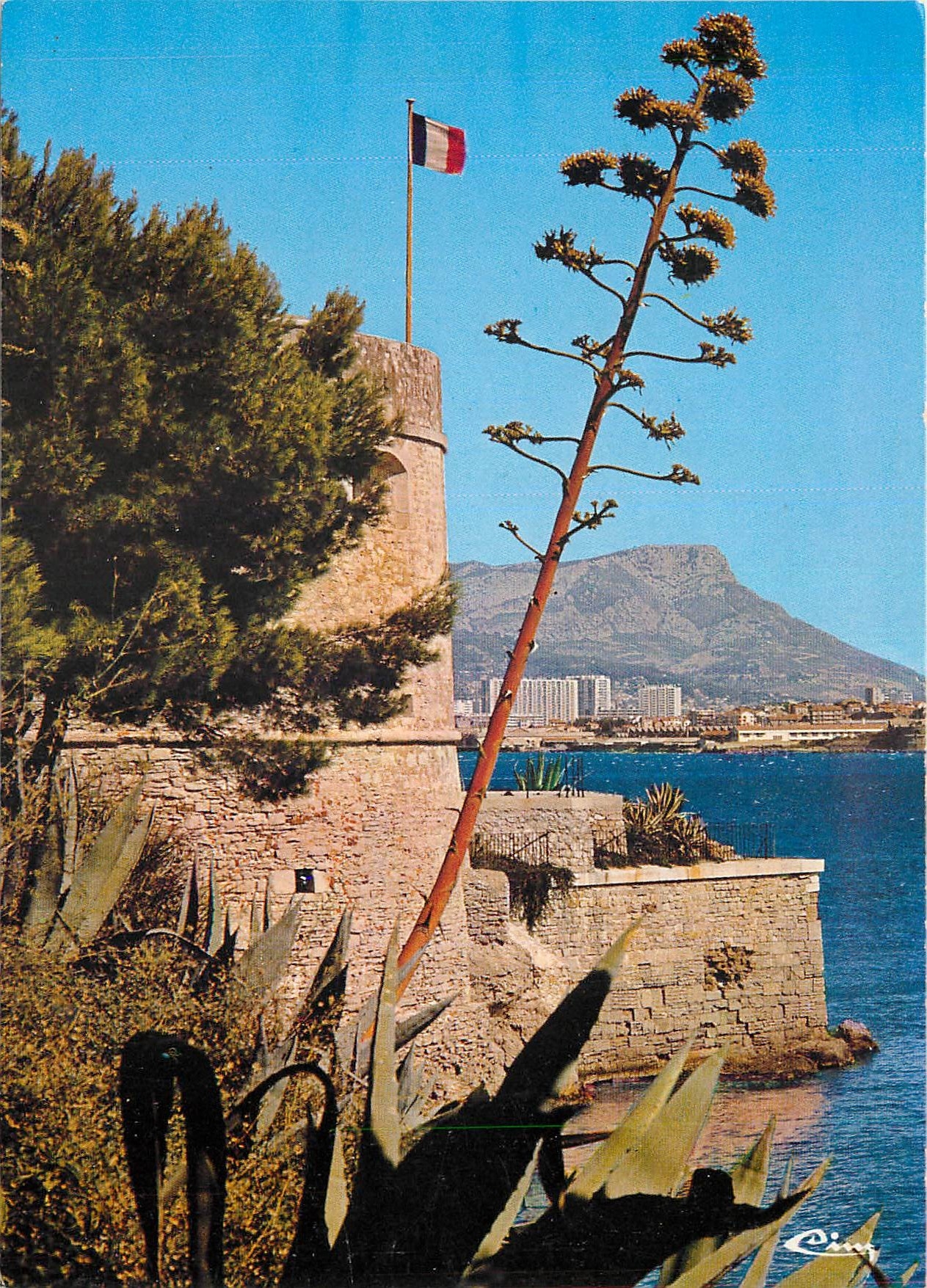 CPM La Seyne sur Mer Tamaris Var Musee naval de Fort Balaguier Jardin exotique et vue sur Toulon 
