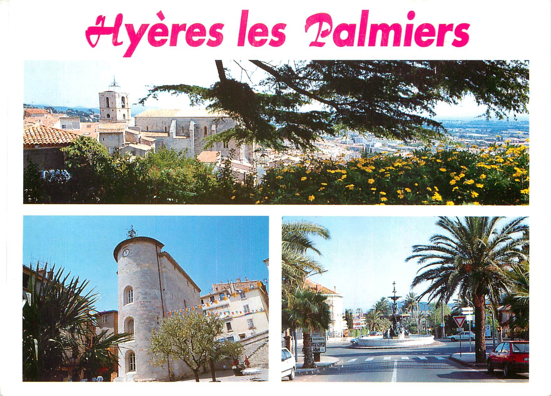 CPM Souvenir de Hyeres les Palmiers 