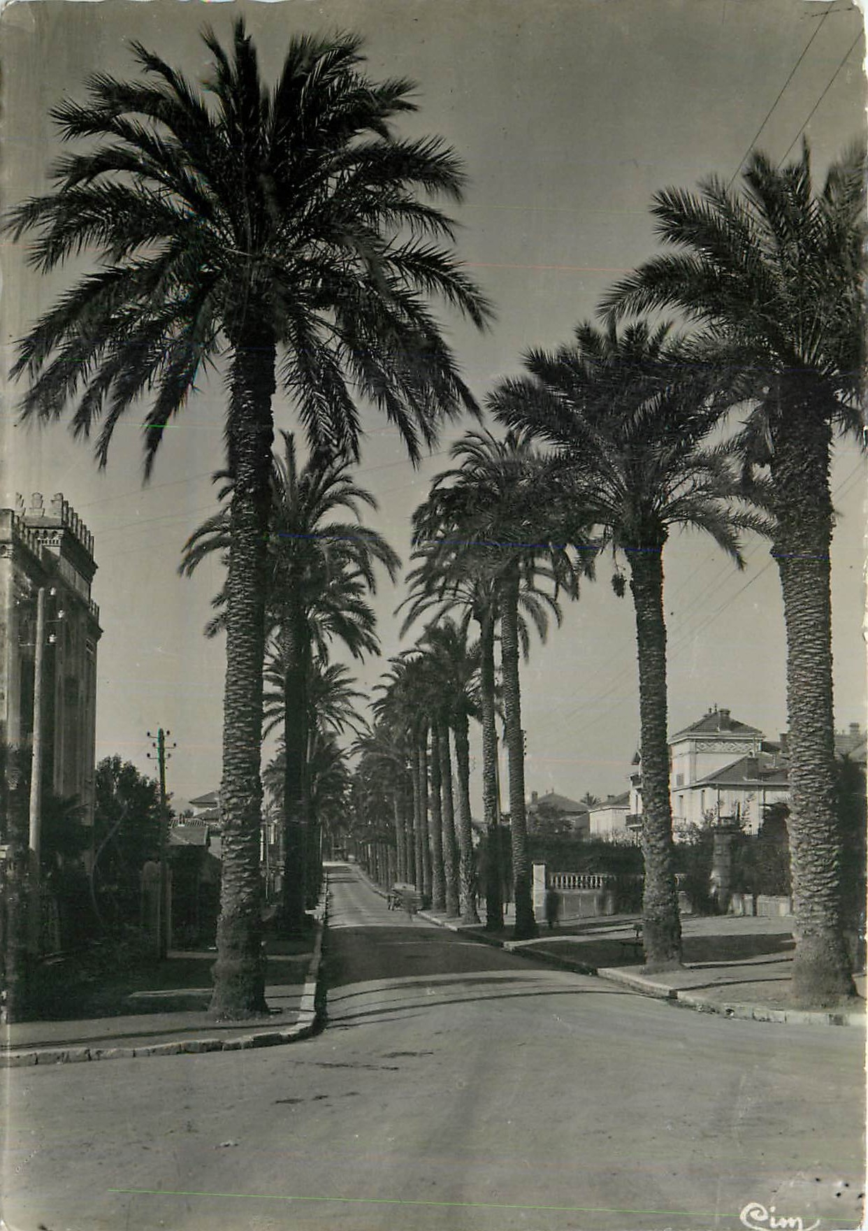 CPM Hyeres les Palmiers Var Avenue Costa de Beauregard 