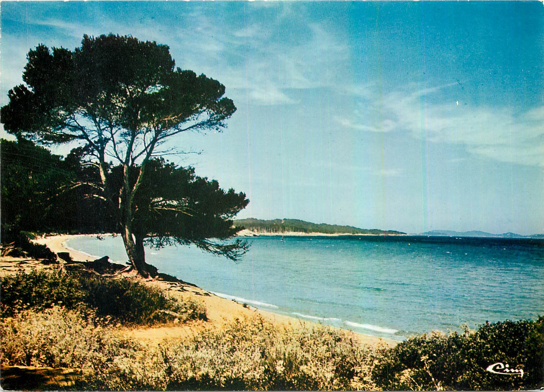 CPM Porquerolles Var La Courtade  