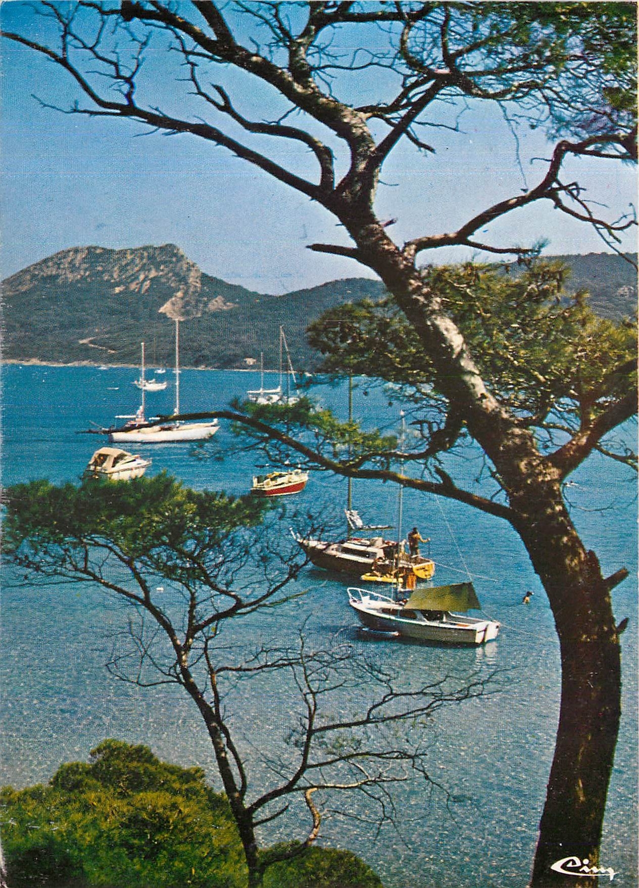 CPM Porquerolles Var La Perle des Iles d'Or Les Plaisanciers 