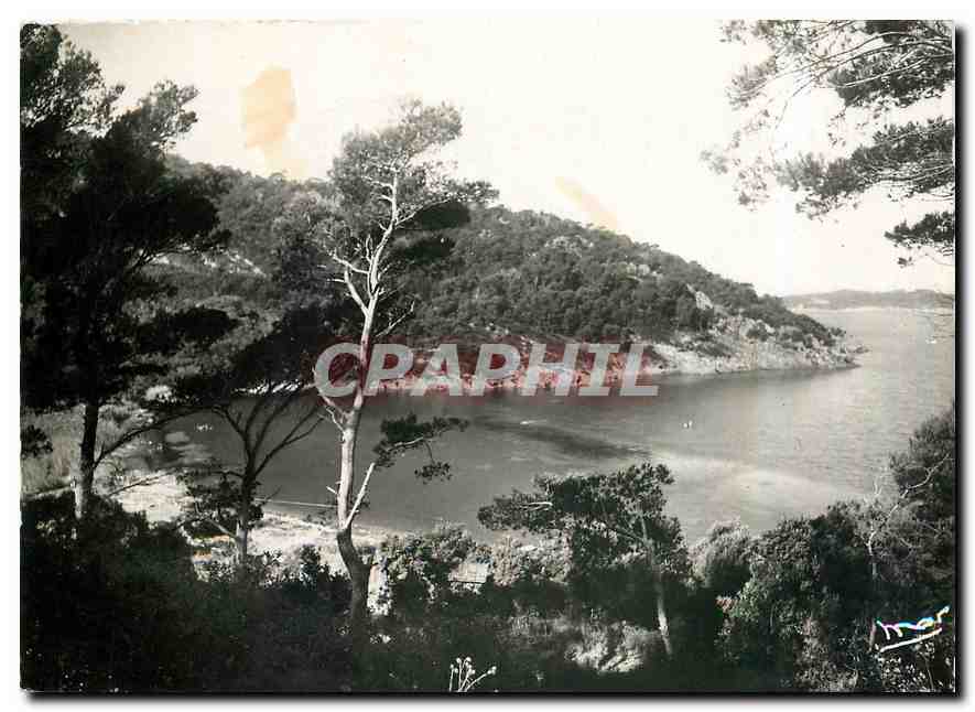 CPM Les Iles d'Or Port Cros Var Un coin de la Baie 