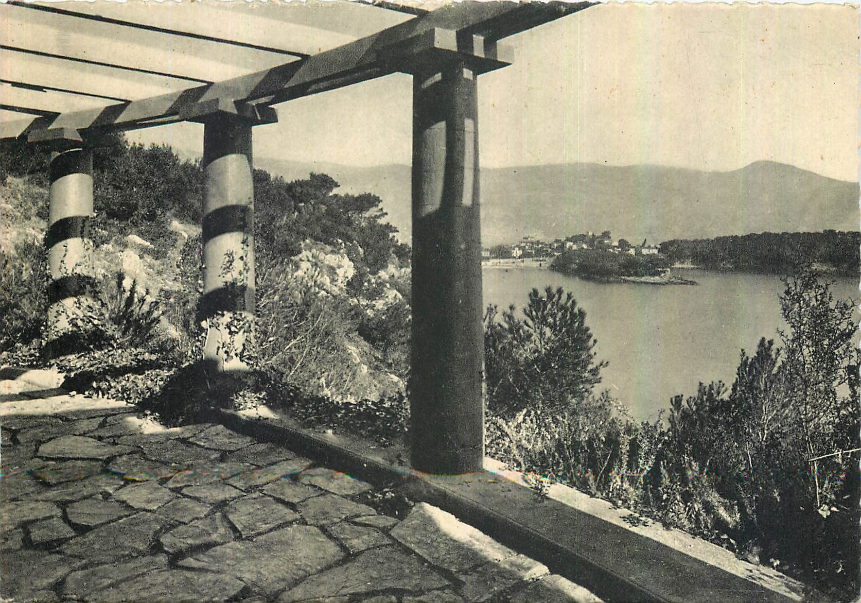 CPM La cote d'Azur Pergola pres Saint Jean Cap Ferrat 