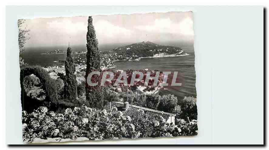CPM La Cote d'Azur Saint Jean Cap Ferrat Alpes Maritimes 