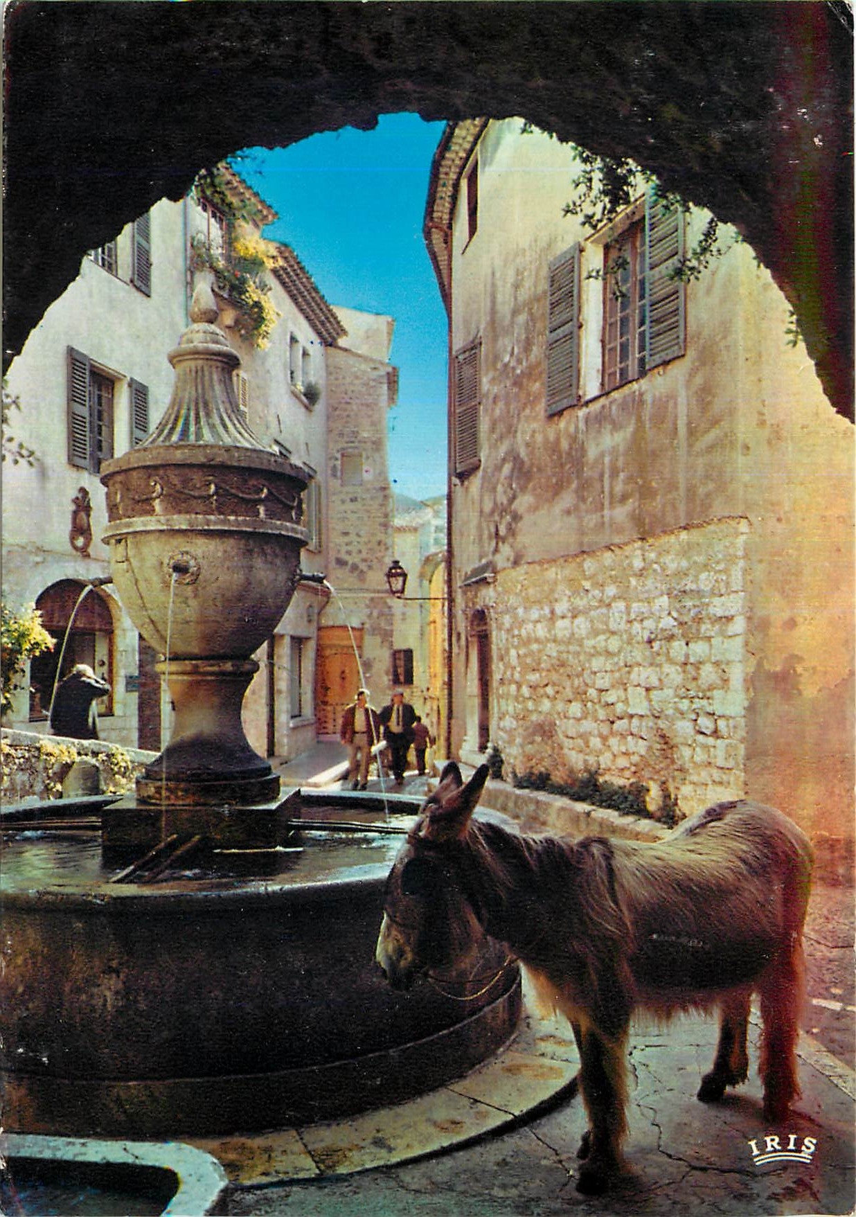 CPM La Cote d'Azur Saint Paul de Vence Halte a la Fontaine Ane Mule