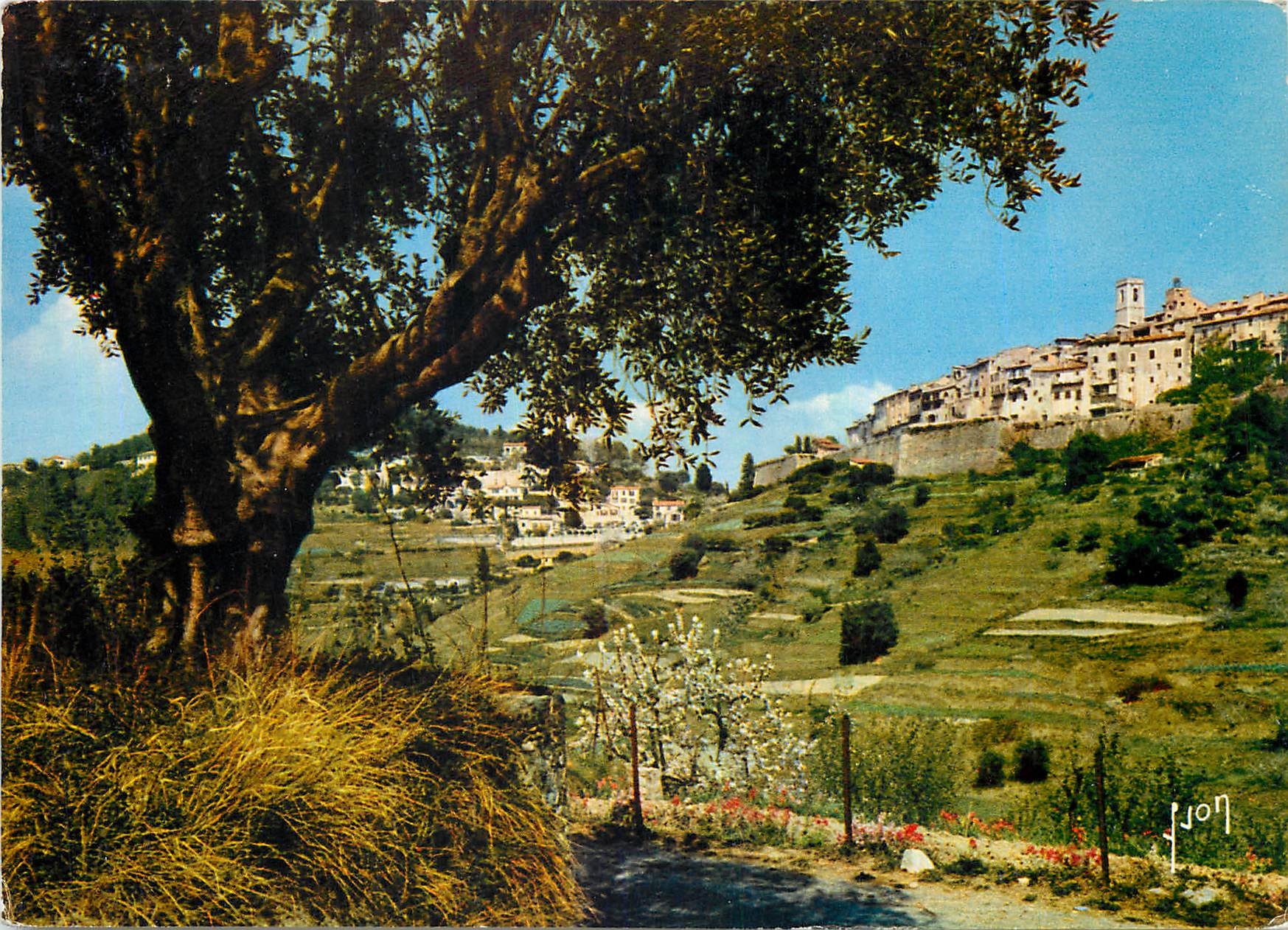 CPM Couleurs et Lumiere de France La Cote d'Azur miracle de la nature Saint Paul Alpes Maritimes Vue
