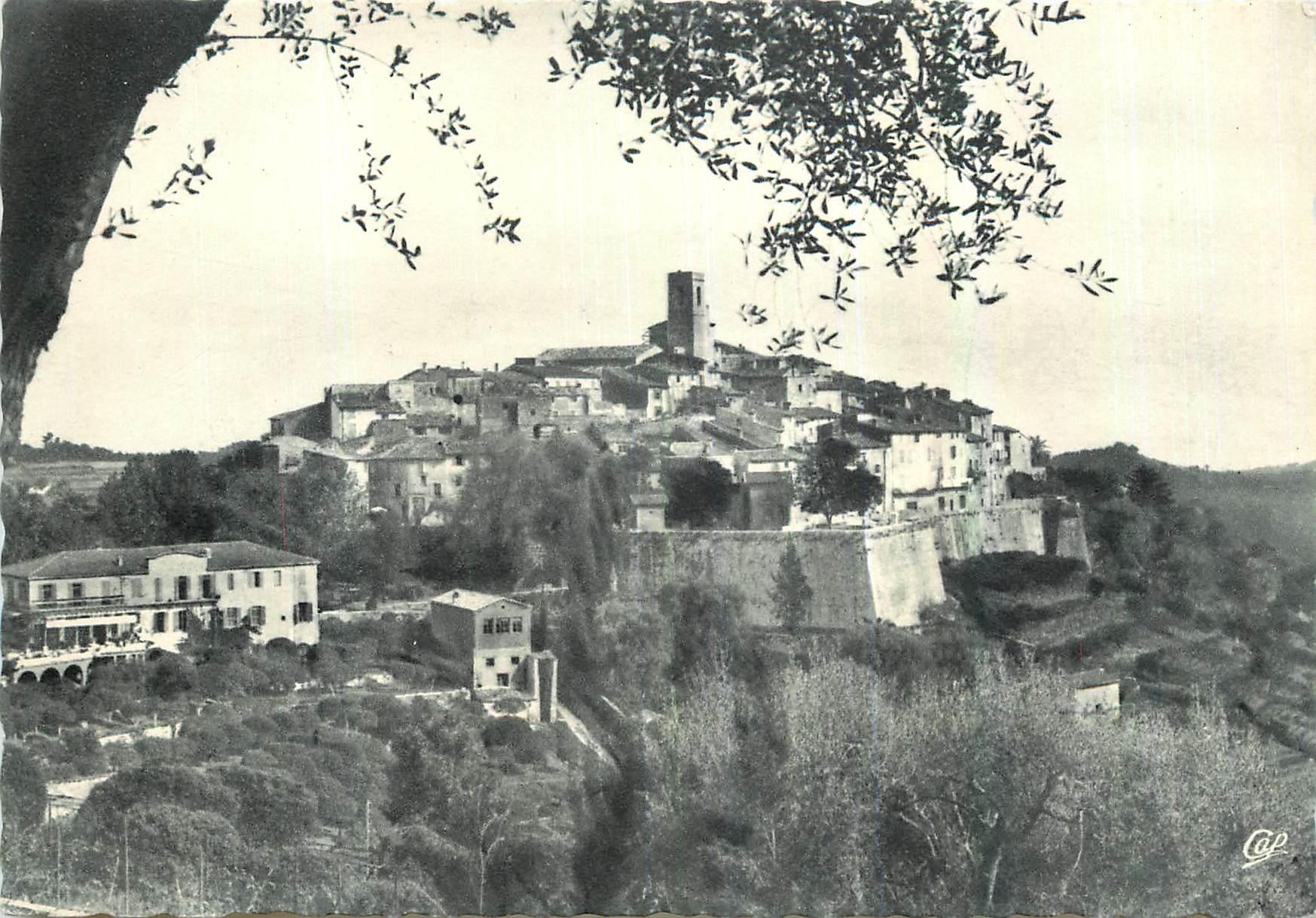 CPM St Paul de Vence Vue a travers les Oliviers 