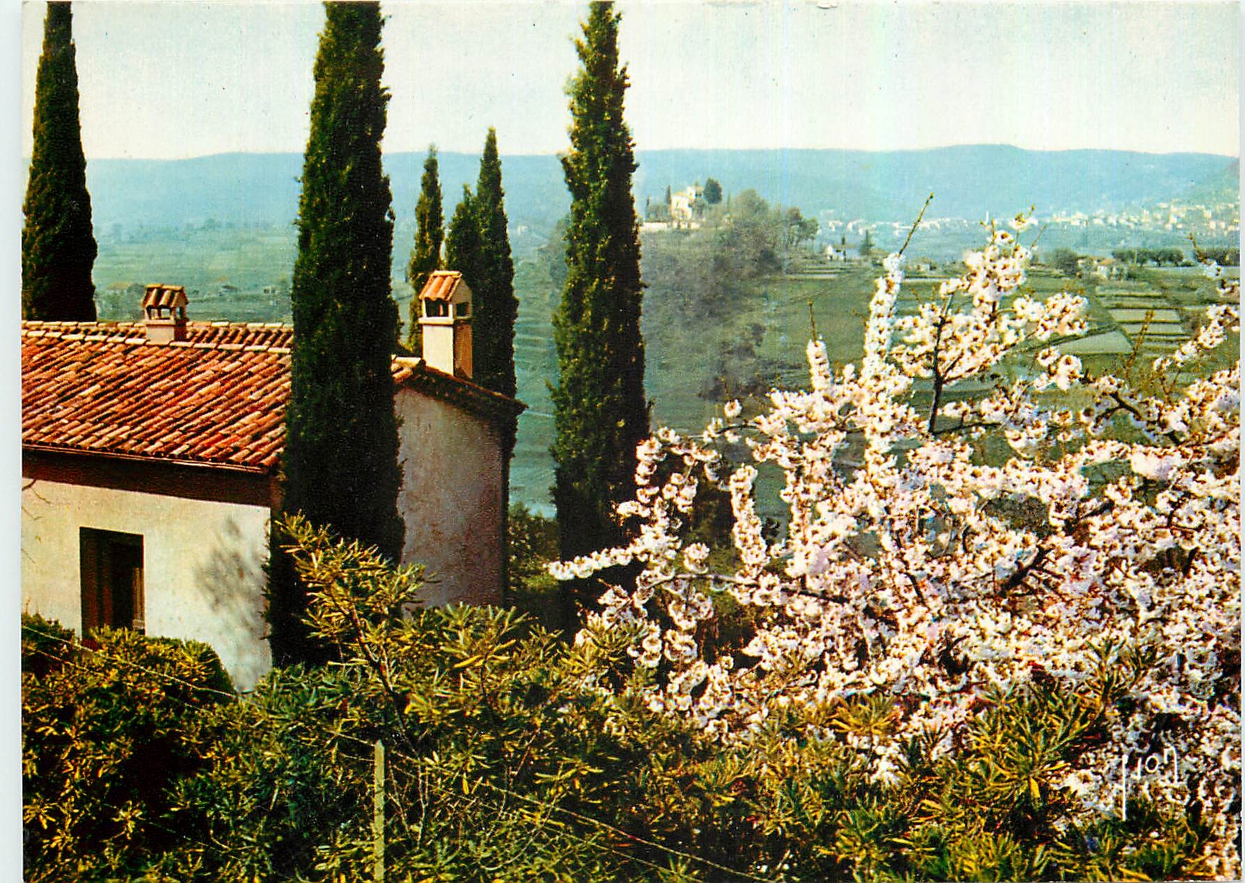 CPM Couleurs et Lumiere de France La Cote d'Azur miracle de la nature Paysage provencal aux abords d