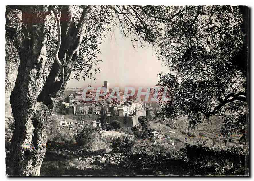 CPM Saint Paul de Vence Vue a travers les oliviers 