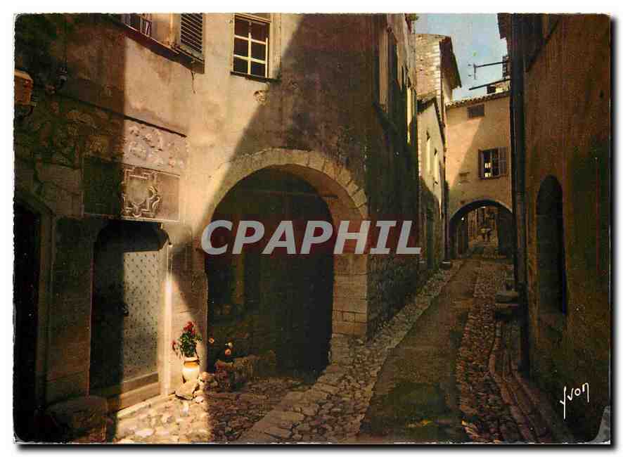 CPM Couleurs et Lumiere de France La Cote d'Azur miracle de la nature Saint Paul Alpes Maritimes Vie
