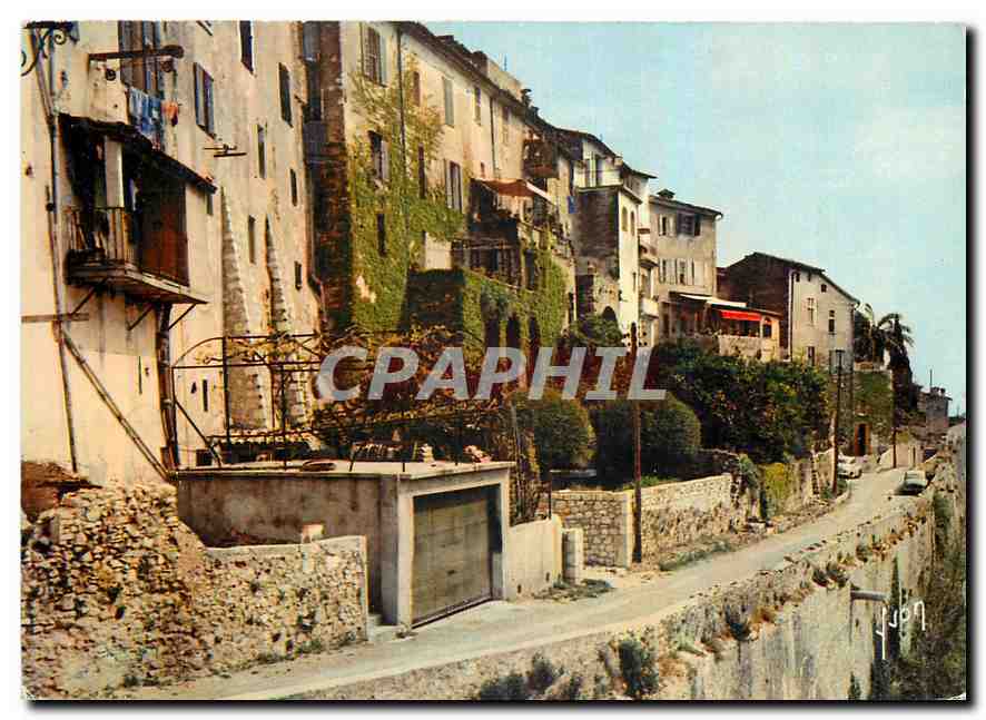 CPM Couleurs et Lumiere de France La Cote d'Azur miracle de la nature Saint Paul Alpes Maritimes Vie