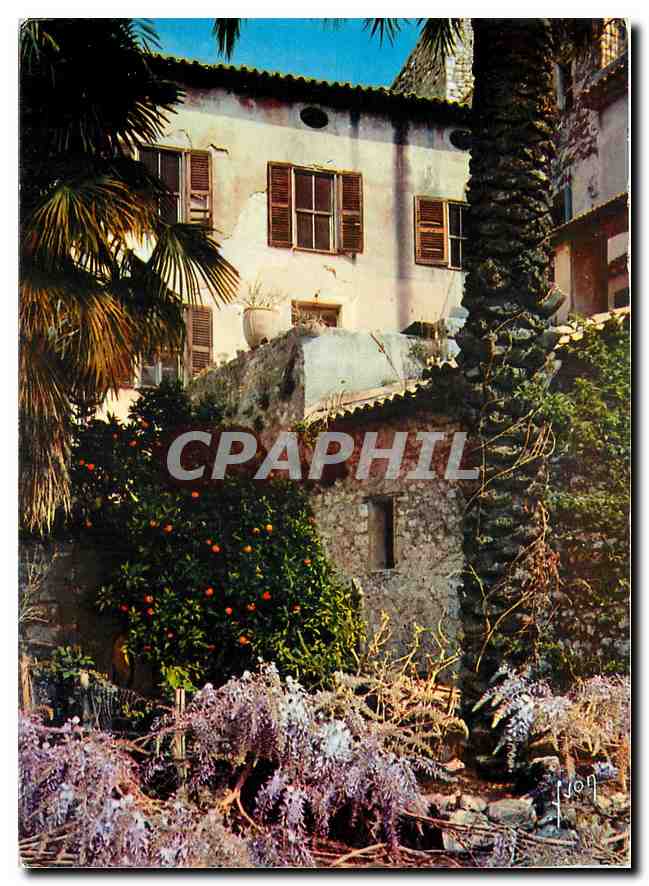 CPM Couleurs et Lumiere de France La Cote d'Azur miracle de la nature Un coin pittoresque du vieux S