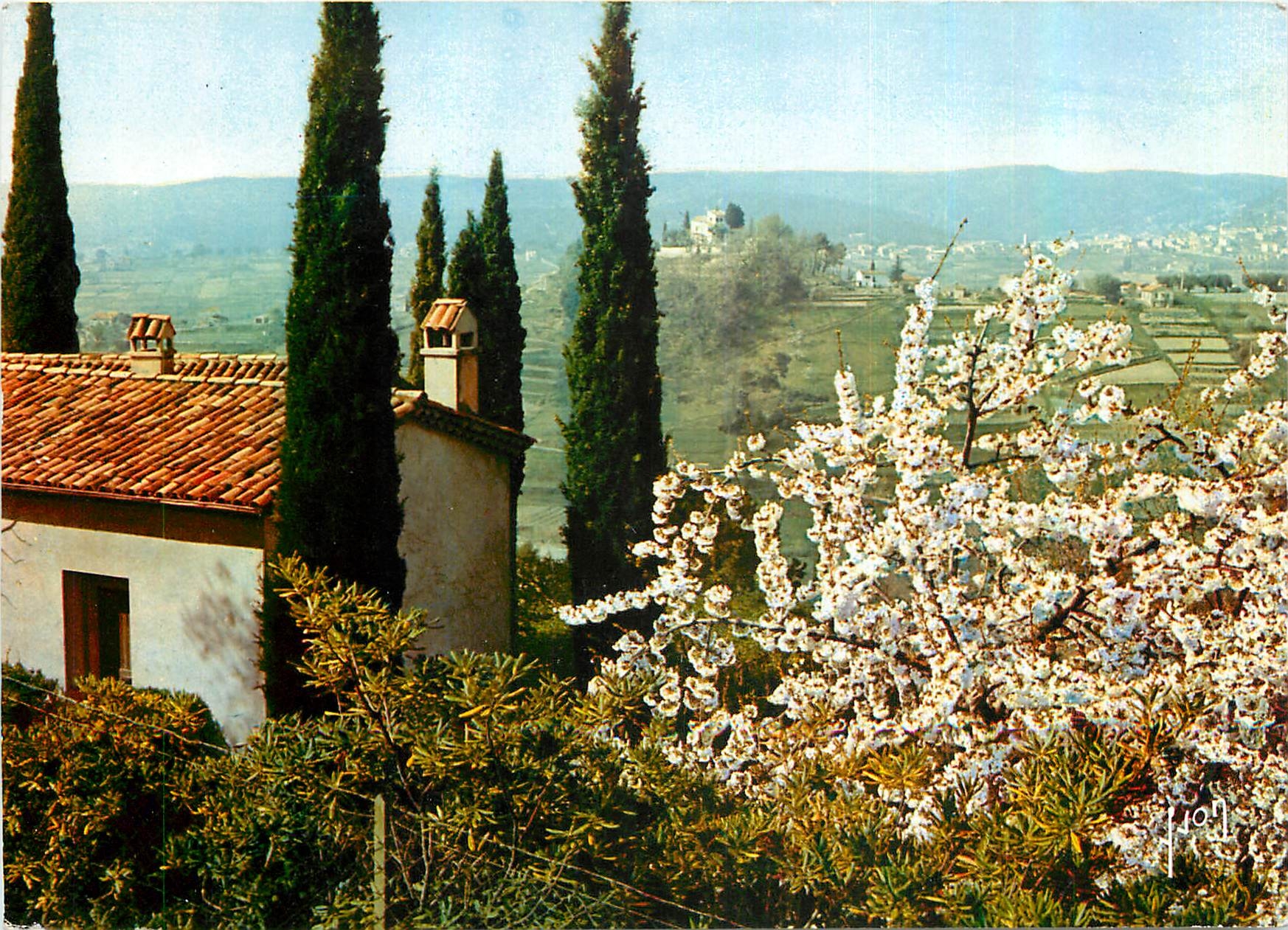CPM Couleurs et Lumiere de France La Cote d'Azur miracle de la nature Paysage provencal aux abords d