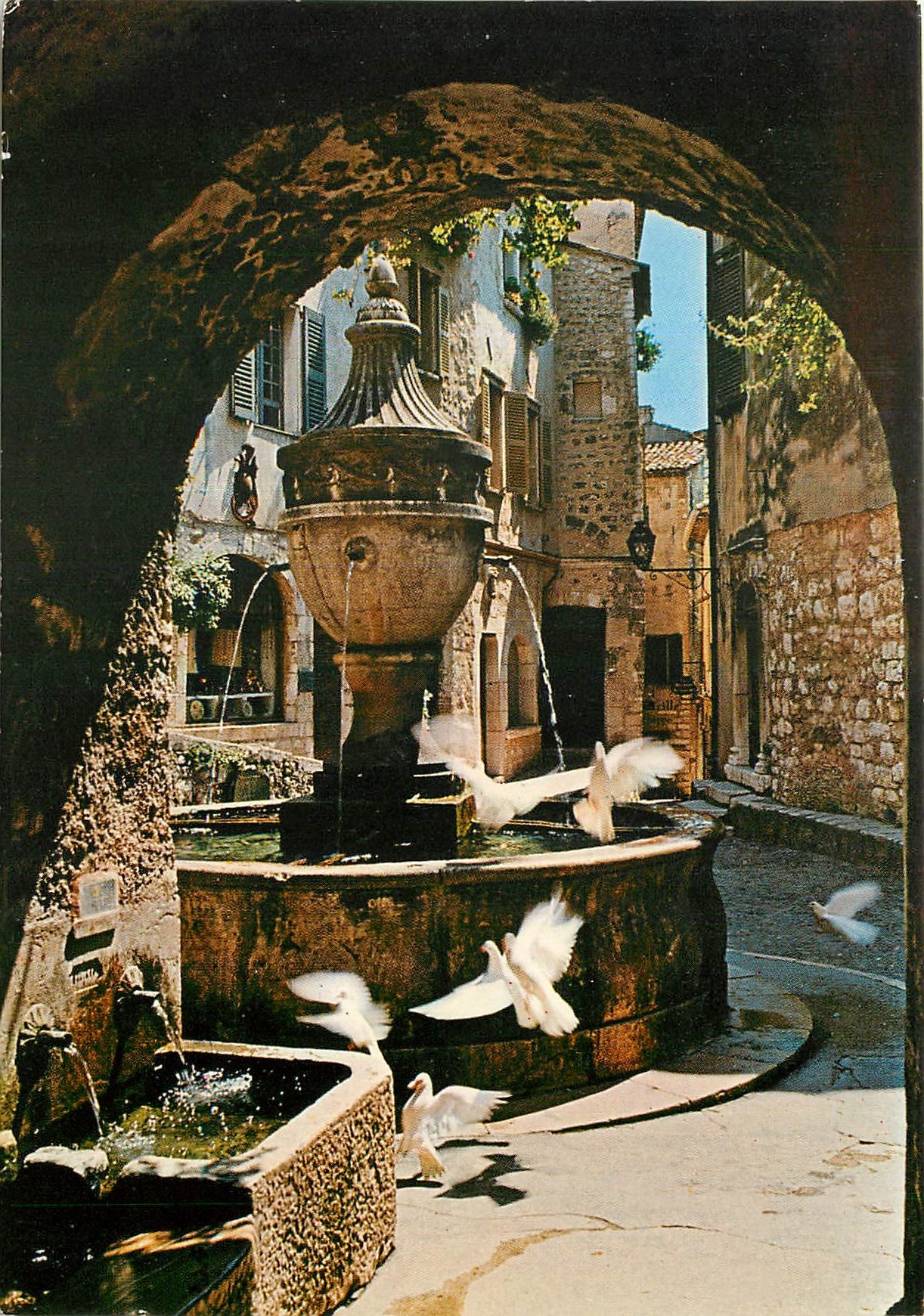 CPM Cote d'Azur Saint Paul Alpes Maritimes Colombes devant la fontaine provencale 
