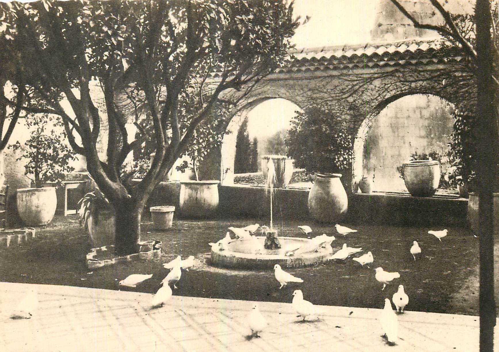 CPM Saint Paul Les Colombes et un coin des jardins de la Colombe d'Or 
