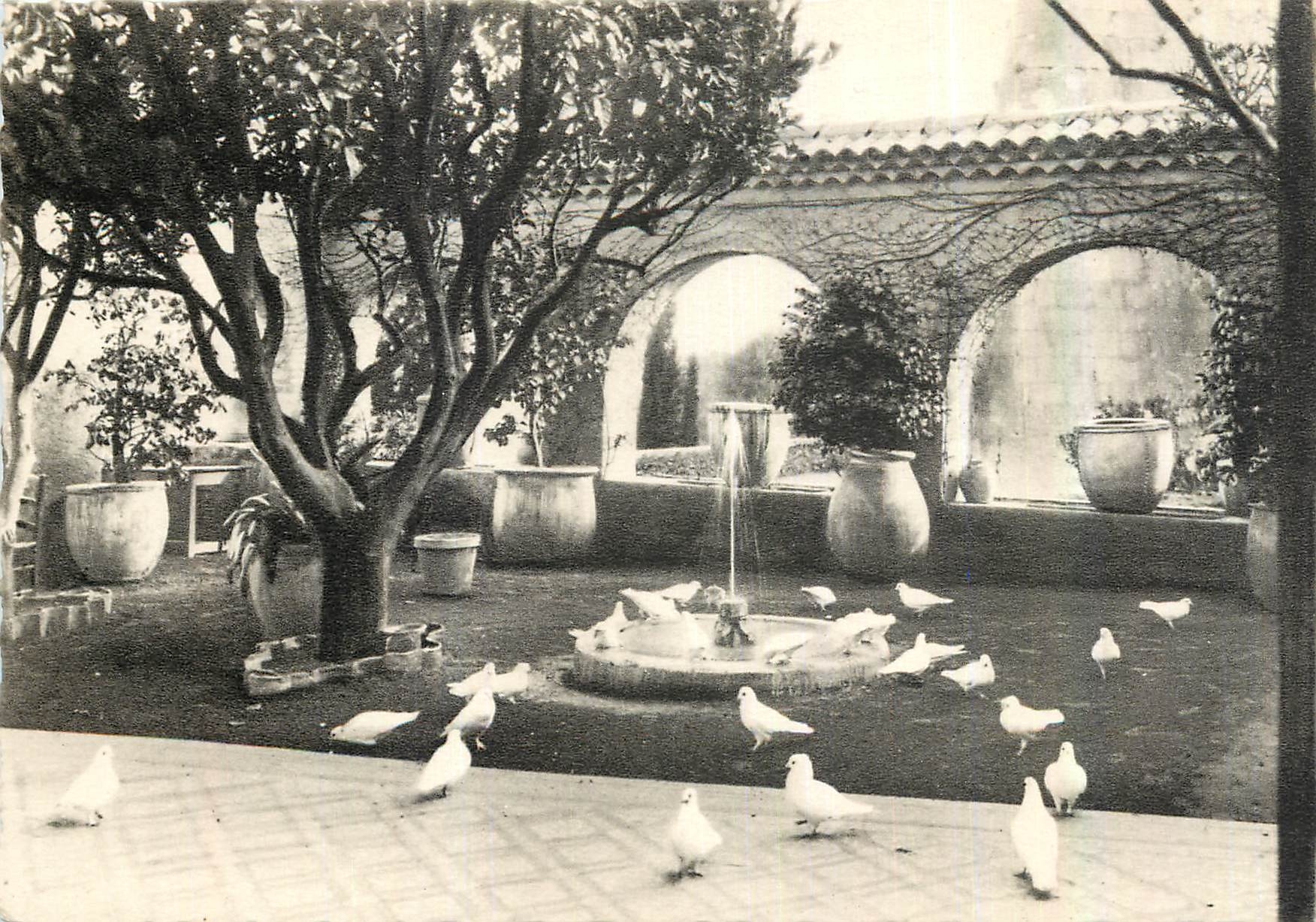 CPM Saint Paul Les Colombes et un coin des jardins de la Colombe d'Or 