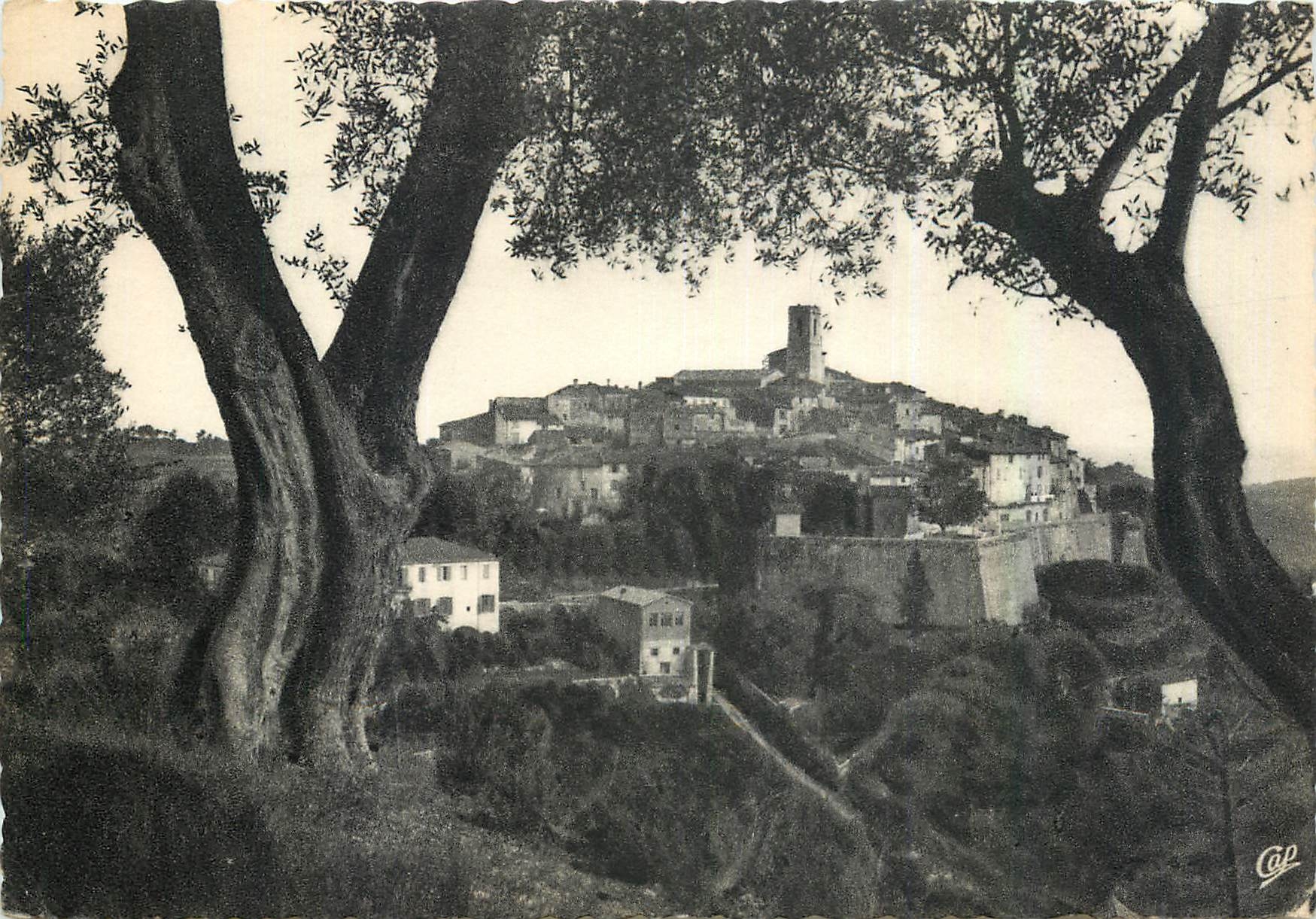 CPM St Paul de Vence Vue a travers les Oliviers 