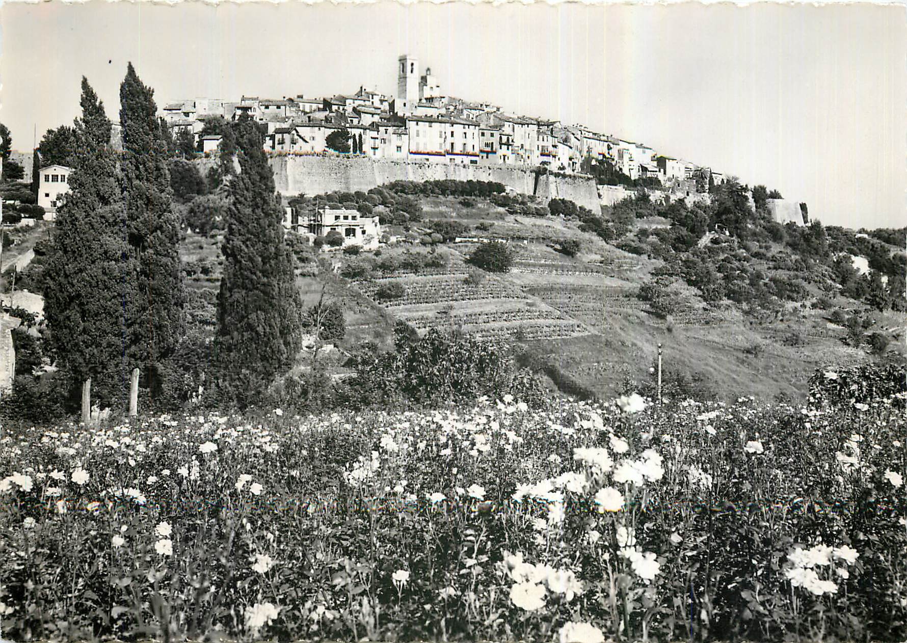 CPA La Cote d'Azur Saint Paul A M Vue generale 