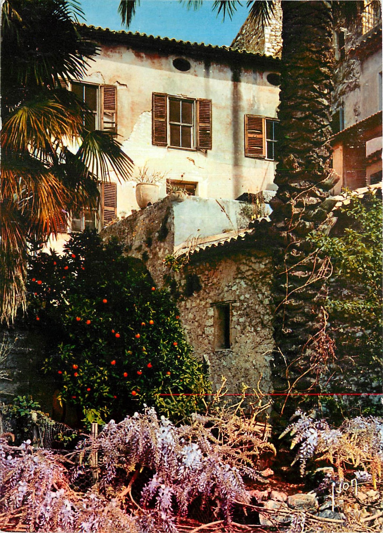 CPA Couleurs et Lumiere de France La Cote d'Azur miracle de la nature Un coin pittoresque du vieux S