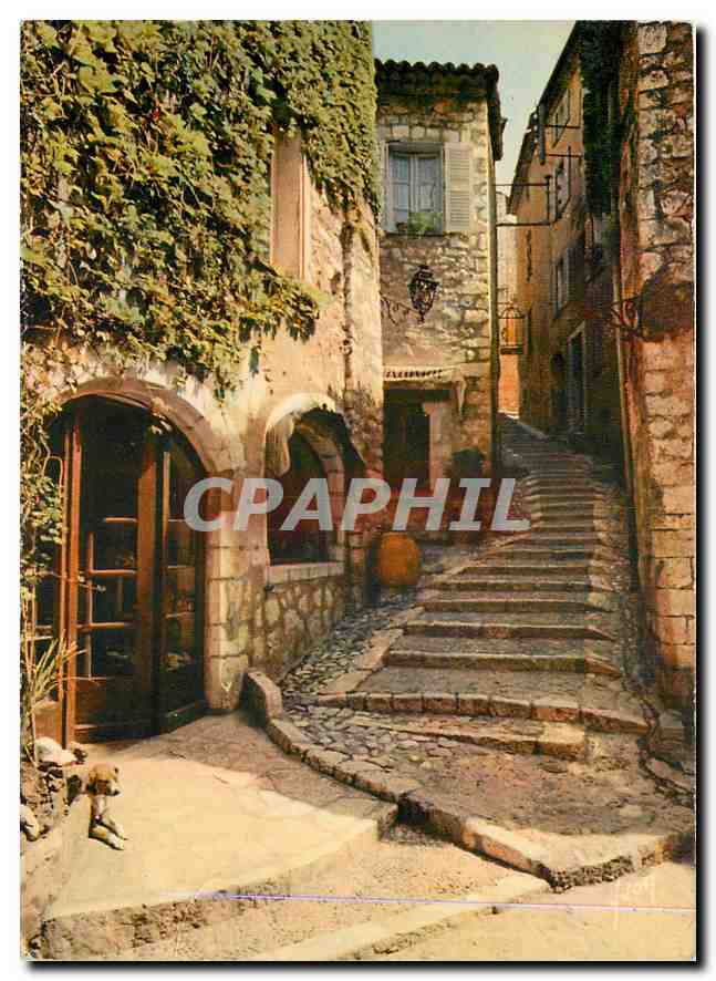 CPA Couleurs et Lumiere de France La Cote d'Azur miracle de la nature Saint Paul de Vence A M Une de