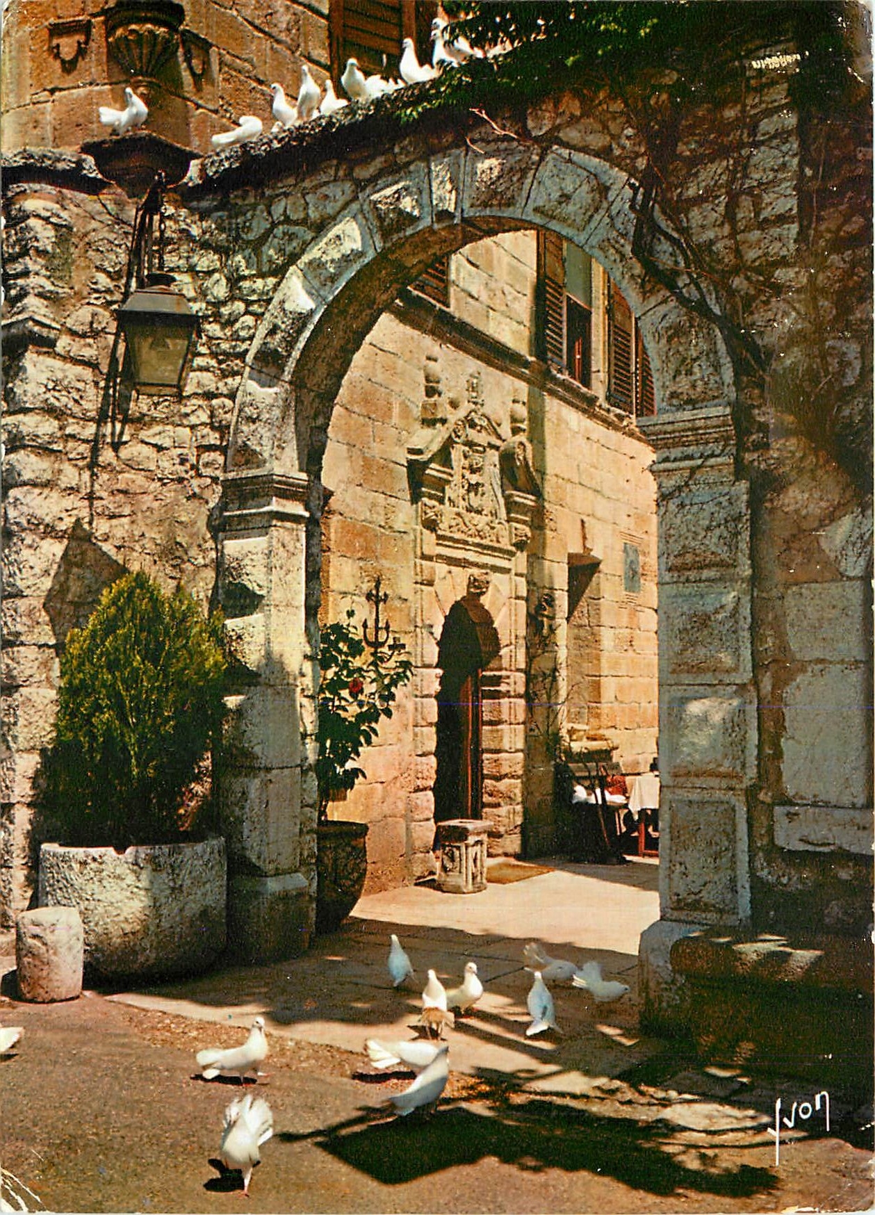 CPA Couleurs et Lumiere de France La Cote d'Azur miracle de la nature Les colombes blanches de Saint