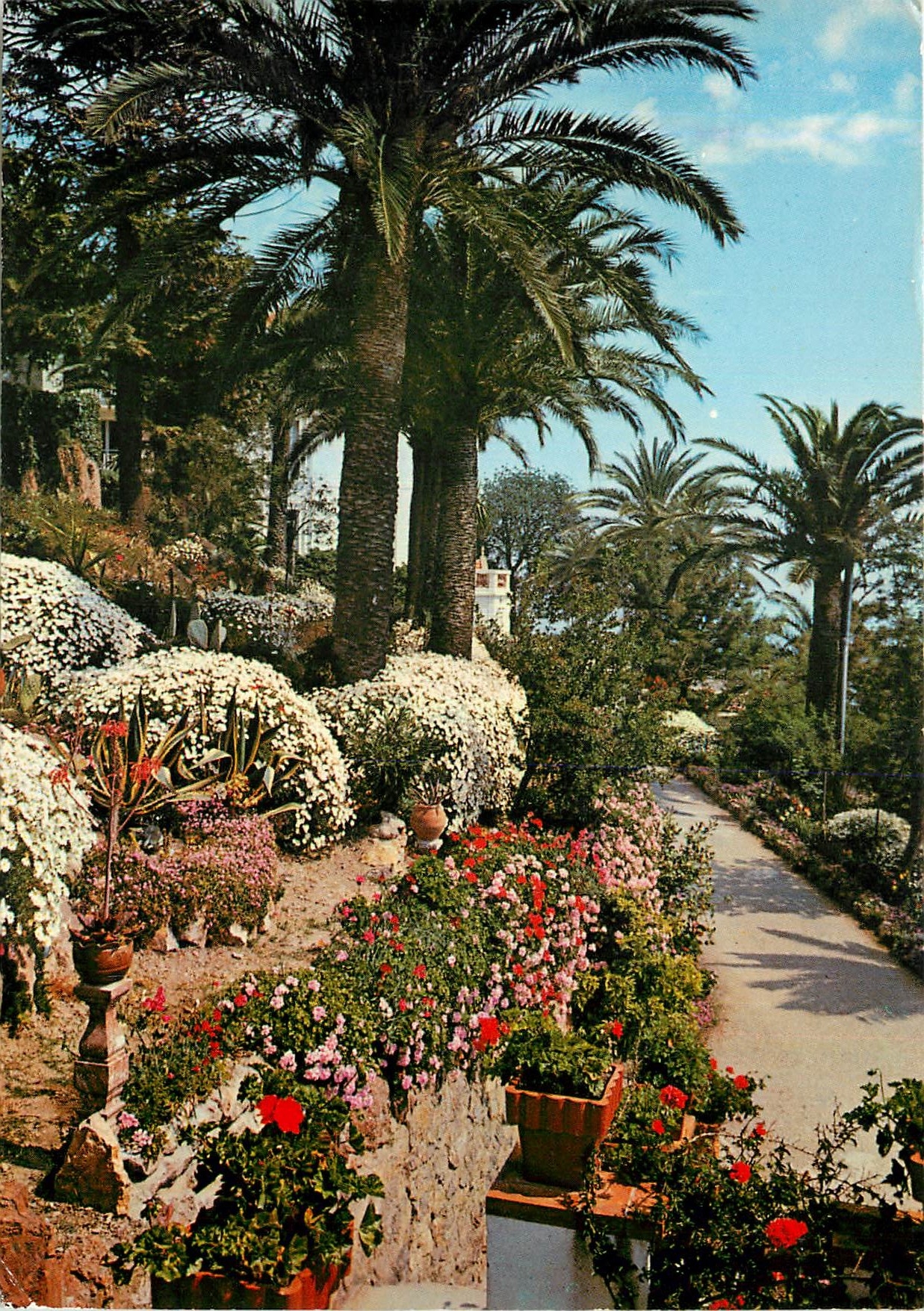 CPA Theoule A M Villa St Camille et ses jardins fleuris 