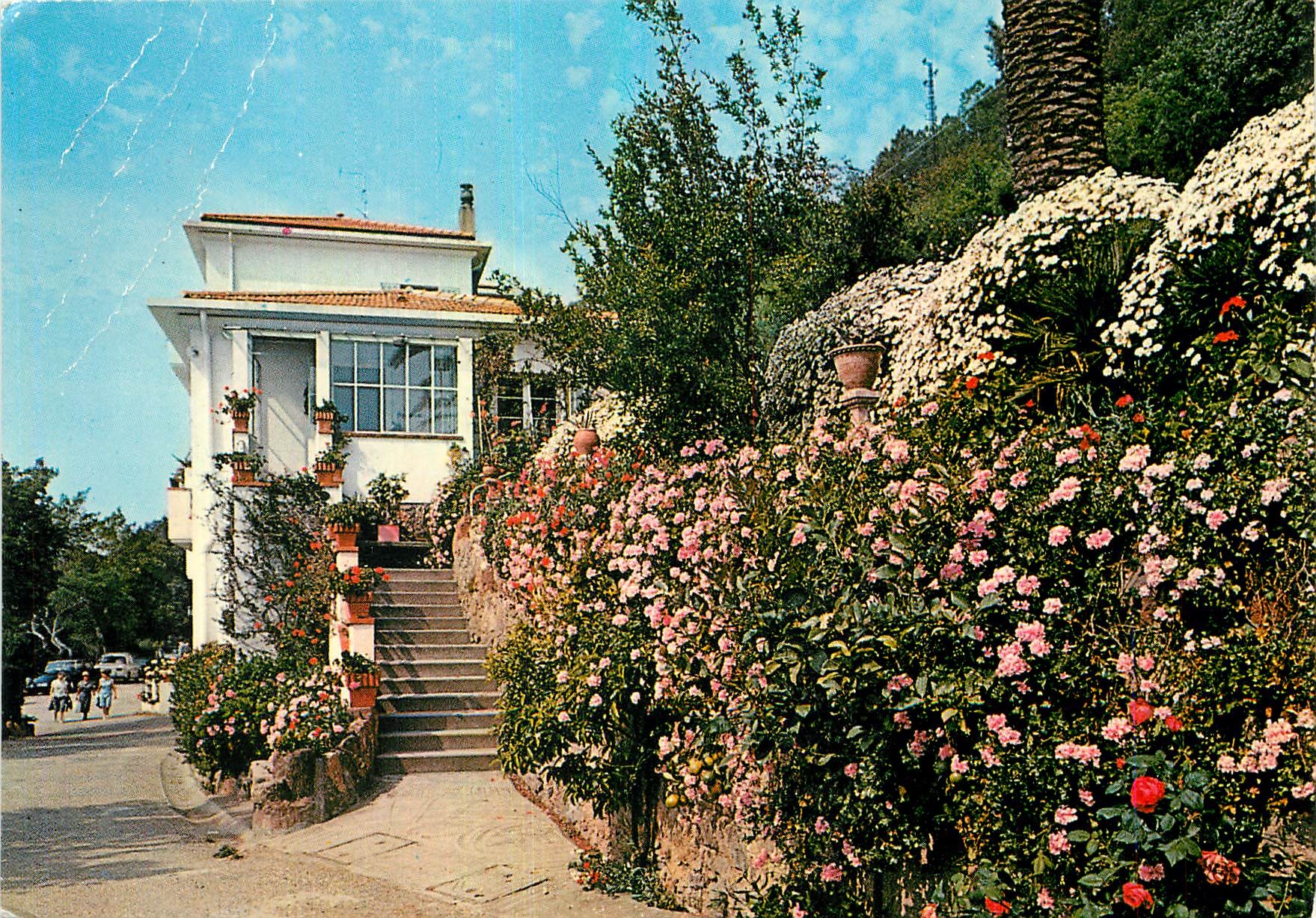 CPA Theoule A M Villa St Camille et ses jardins fleuris 