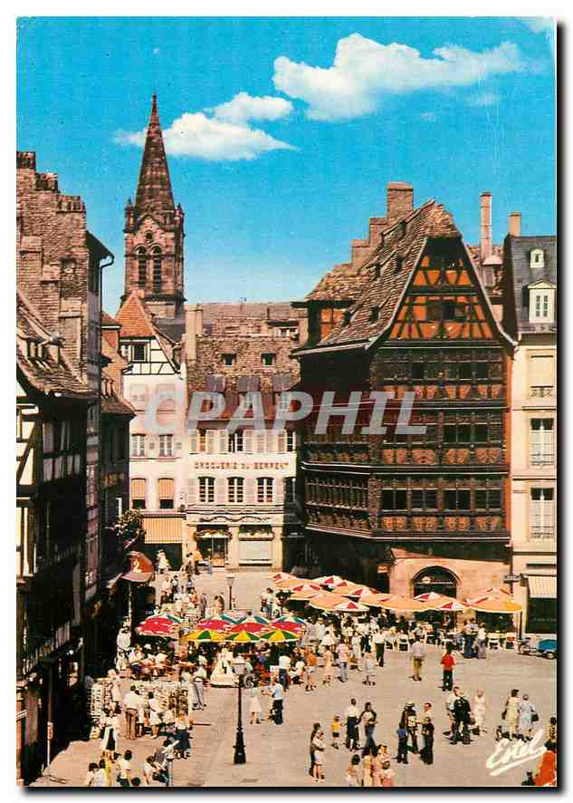 CPM Au Pays des Cigognes Strasbourg Bas Rhin La place de la cathedrale la maison Kammerzell et la fl