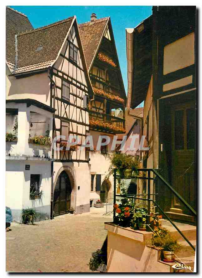 CPM Eguisheim Haut Rhin Ville historique sur la route du vin d'Alsace Ses Maisons pittoresques 
