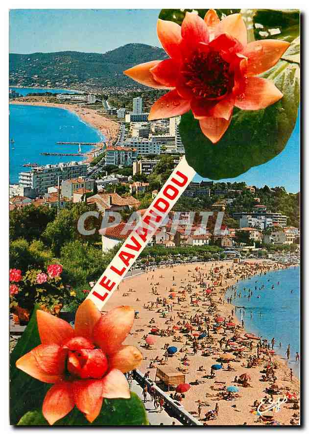 CPM La Cote d'Azur Varoise Le Lavandou Var Vue generale sur le Front de Mer La Plage 
