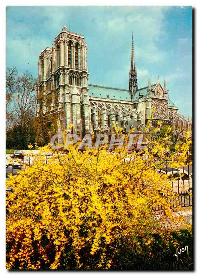 CPM Couleurs et Lumiere de France Paris Notre Dame 