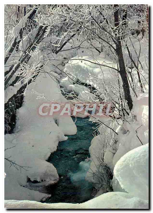 CPM Neige et Soleil Le Torrent en Hiver 