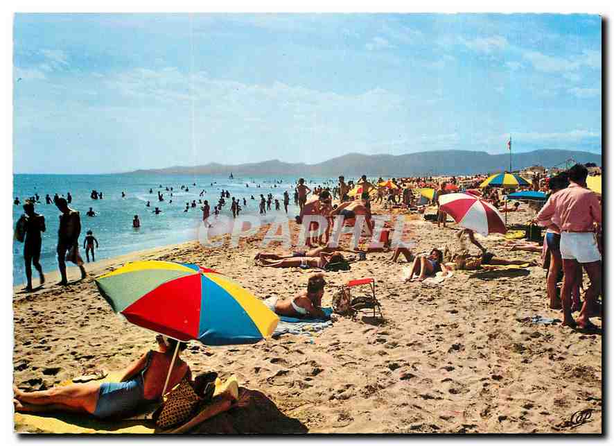 CPM Canet Plage La Plage vers les Alberes 