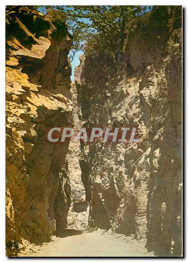 CPM Lacaune les Bains Tarn Station Estivale Entree d'une carriere d'ardoise 