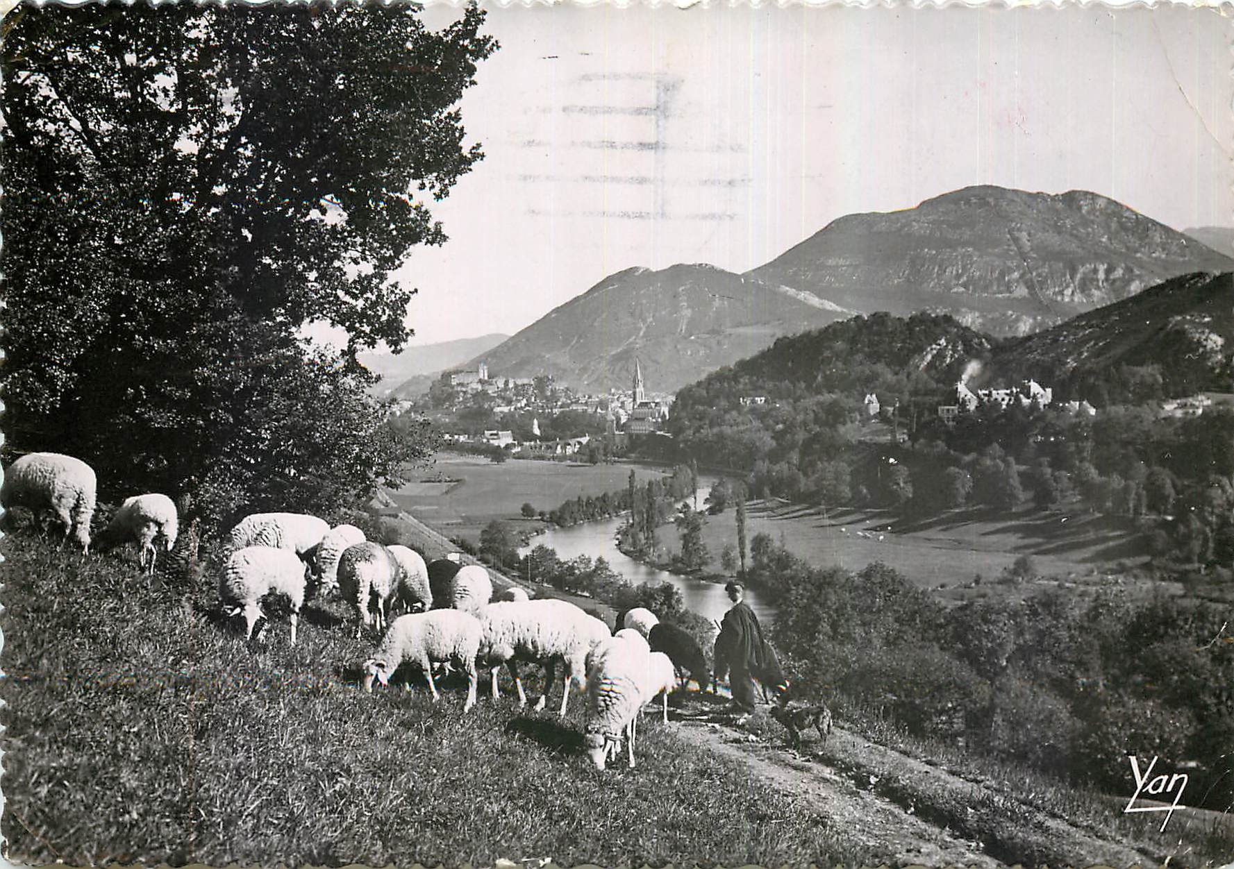 CPM Lourdes La Vallee et le Pic du Jer Moutons